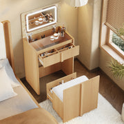 3 in 1 Vanity Desk with Flip Top Mirror and Led Light, 24" Modern Make Up Vanity Set